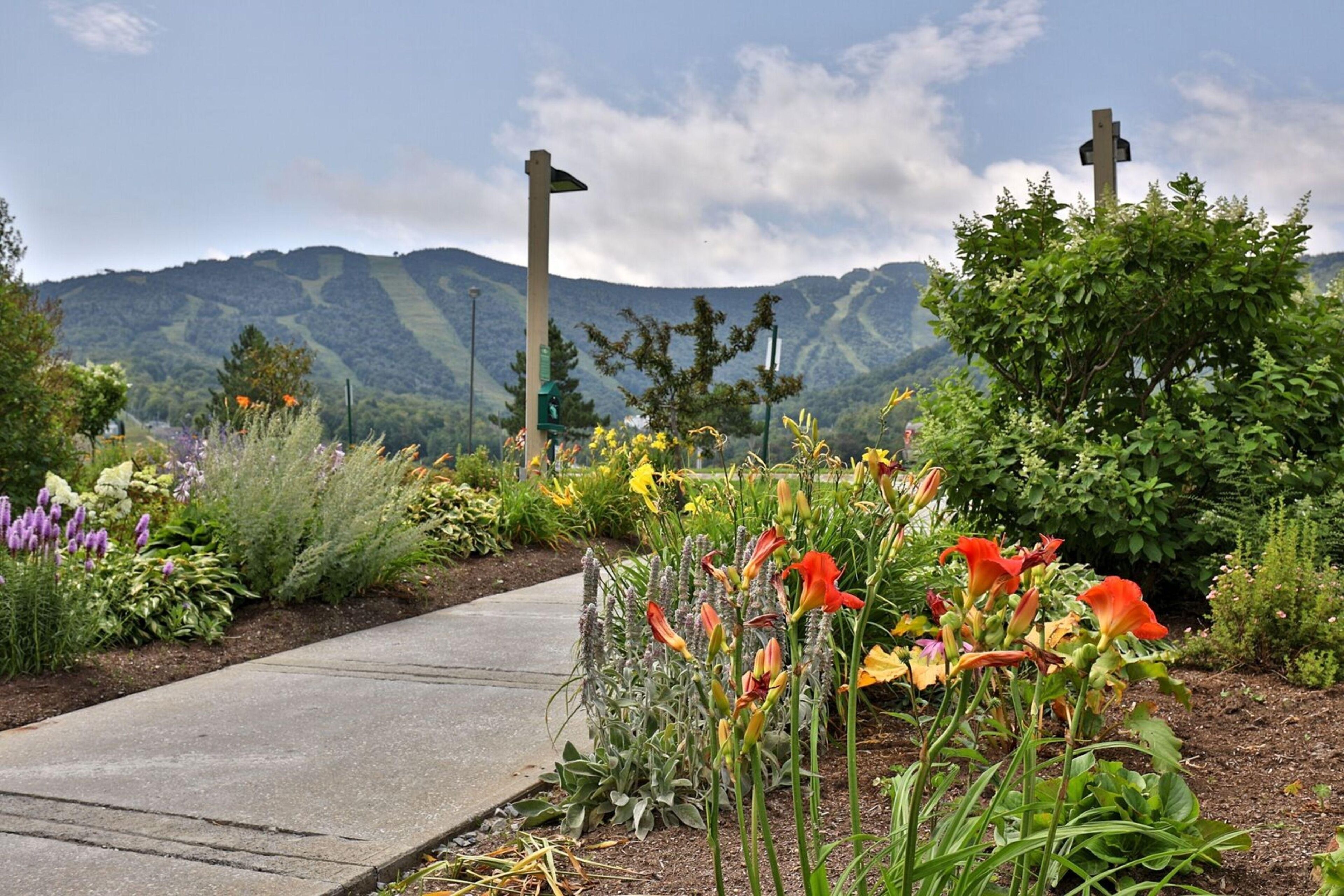 Jardines del alojamiento