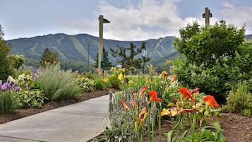 Lejlighed - 3 soveværelser | Overnatningsstedets område