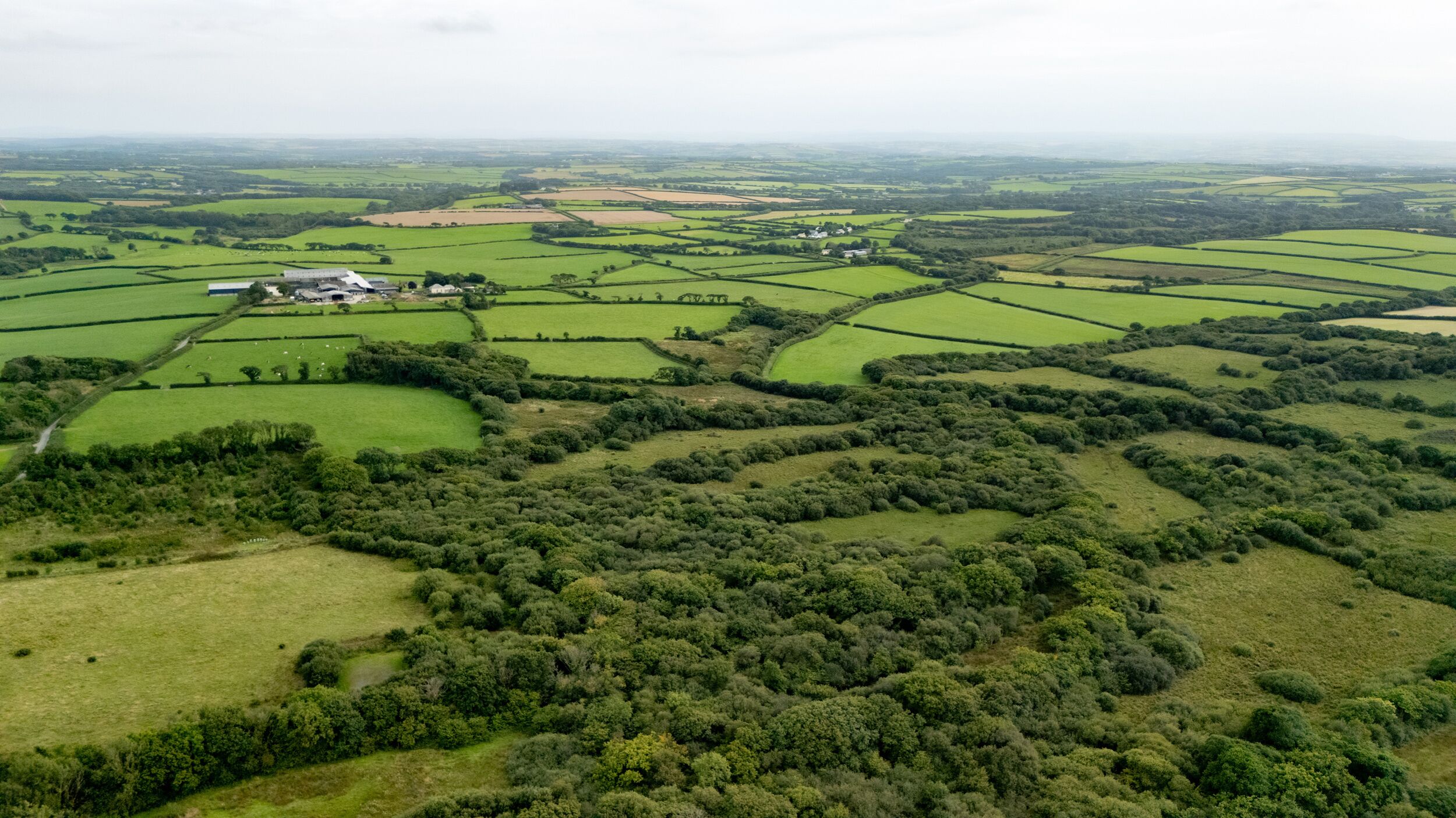 Vista aérea de uma paisagem rural com campos, sebes e alguns edifícios.