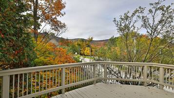 Kondominium, 1 kamar tidur | Halaman properti