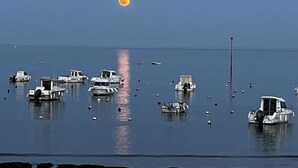 A calm body of water with several boats anchored. - Charming house on the heights of St Jacques with sea view (Sarzeau)