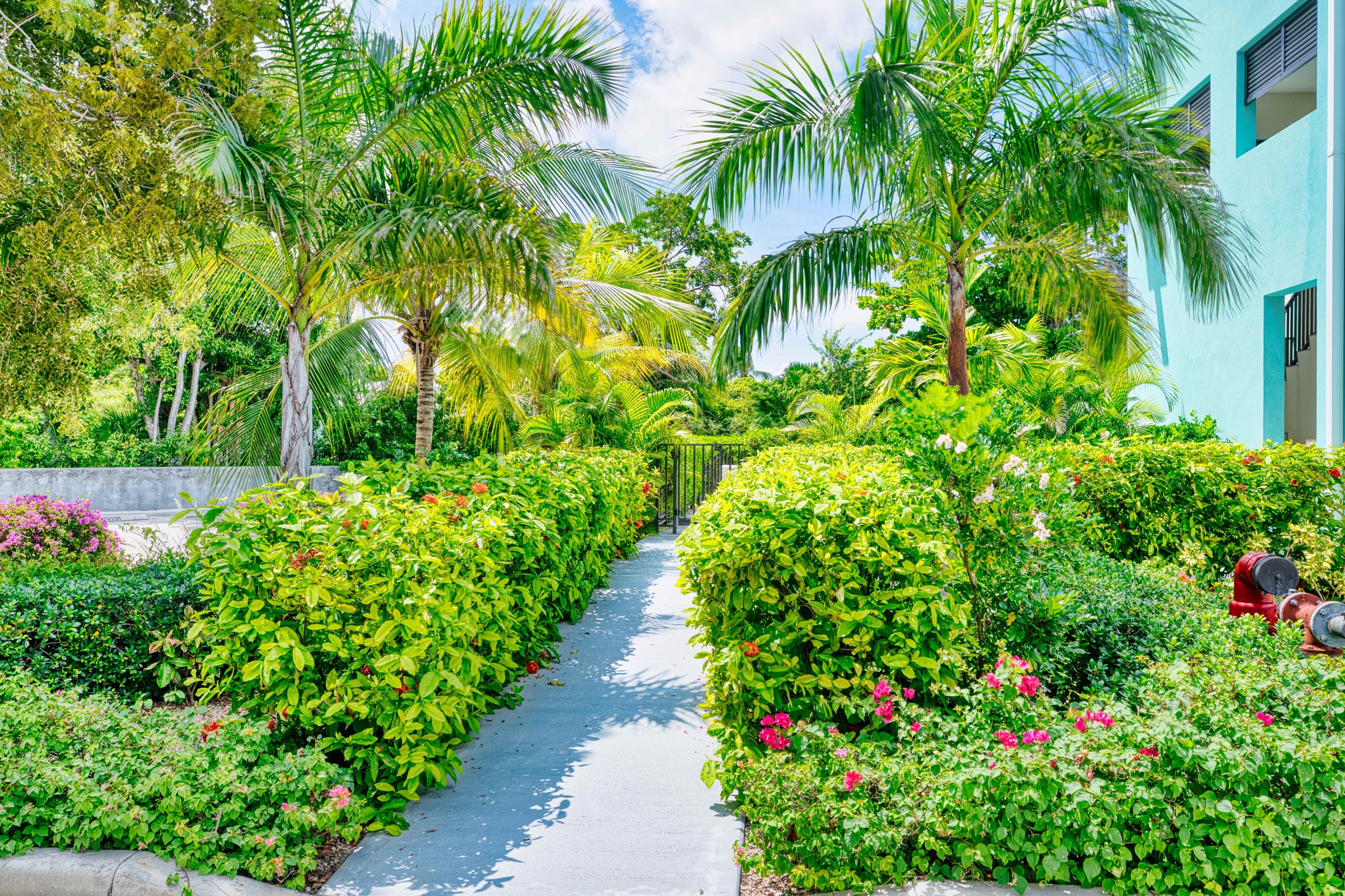 Overnatningsstedets område