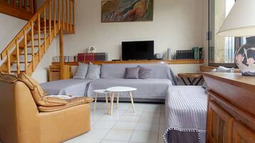 Televisie, een dvd-speler, boeken en een muziekbibliotheek