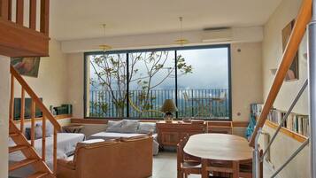 Televisie, een dvd-speler, boeken en een muziekbibliotheek