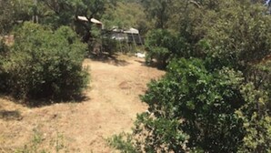 A rural property with a dirt path leading to a small house surrounded by dense vegetation. - Lodge l'Immortelle (Zonza)