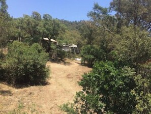 Property grounds - Immortal Lodges (Zonza)