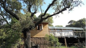 A rustic wooden building with a sloped roof, surrounded by trees and a grassy area. - Lodge l'Immortelle (Zonza)