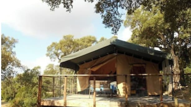 A rustic wooden structure with a covered deck, surrounded by trees. - Lodge l'Immortelle (Zonza)