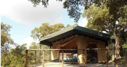 Immortal Lodges