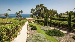 Un jardin aménagé avec un sentier menant à la plage, agrémenté de diverses plantes et arbres.