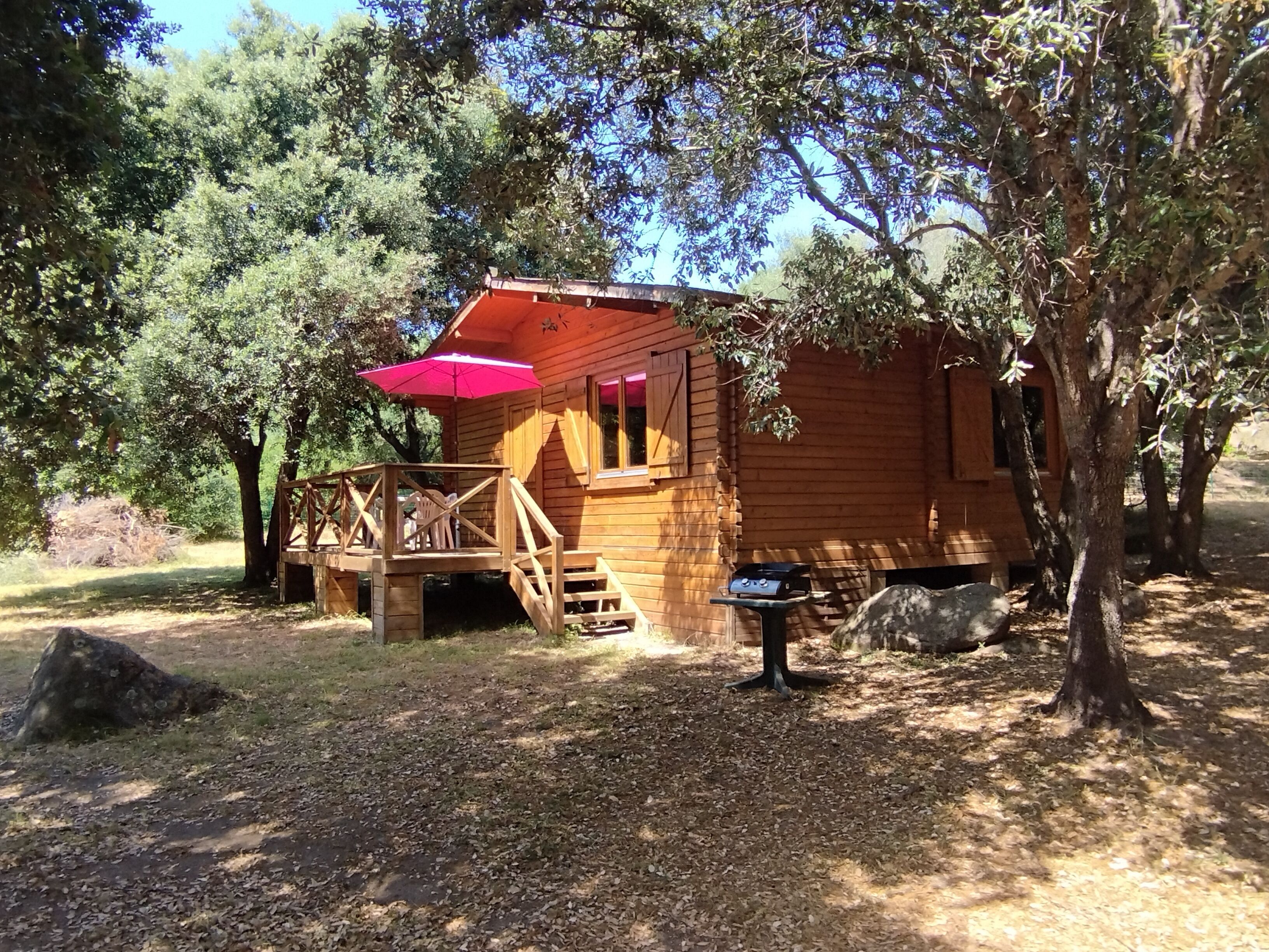 Eine Holzhütte mit einer Terrasse, einem Grill und einem Picknicktisch.
