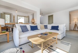 Smart-tv, pejs, Netflix, bøger