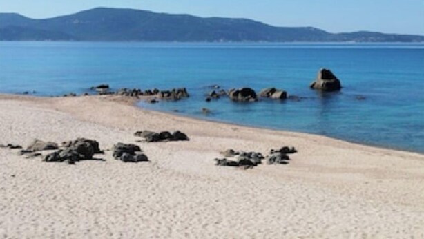 Ein Strand mit klarem, blauem Wasser, sandigem Ufer und vereinzelten Felsen.