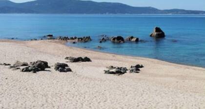 The Tinutella 5, the tinutella