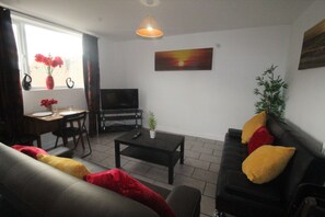 Flat-screen TV - Doe Quarry (Sheffield)