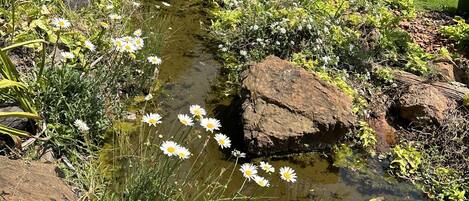 Àrea exterior de l'allotjament