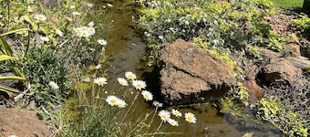 A boutique lodge situated in a serene environment - 2030