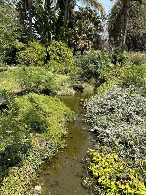Terrain de l’hébergement 