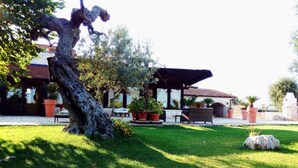 A well-maintained garden with a large tree, outdoor seating, and a covered patio area. - Cozy Triple Room with Pool View B&B Diana N.6 (Puglia)