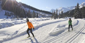 Two skiers on a snowy trail with trees and mountains in the background.