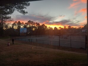 Sport court - Paradise by Busch Gardens, walk to beach! Lovely large 3bedroom/3 full bathrooms (Williamsburg)