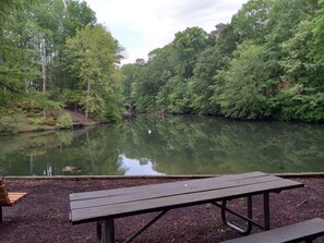 Property grounds - Paradise by Busch Gardens, walk to beach! Lovely large 3bedroom/3 full bathrooms (Williamsburg)