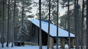 Una cabaña con techo inclinado, rodeada de altos pinos en un bosque nevado.