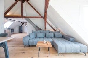 Smart-TV, Kamin