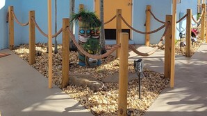Un espacio al aire libre techado con cerca de madera, palmeras y un edificio con pared azul y puerta amarilla.