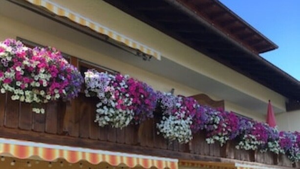Um edifício de dois andares com uma varanda decorada com vasos de flores pendurados.