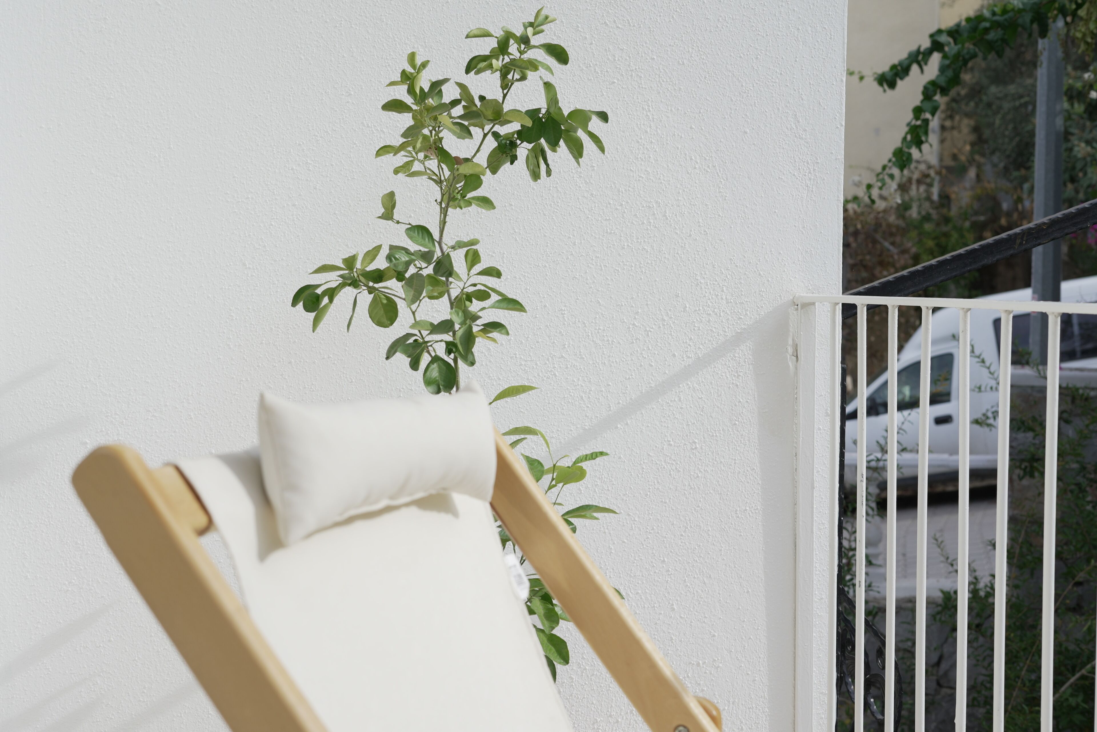 A white wall with a wooden chair and a plant.