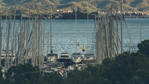 Un puerto deportivo con barcos amarrados, rodeado de montañas y árboles.
