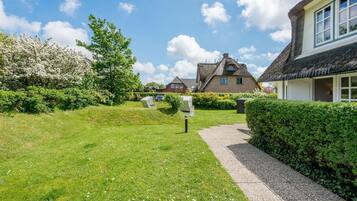 Terrain de l’hébergement