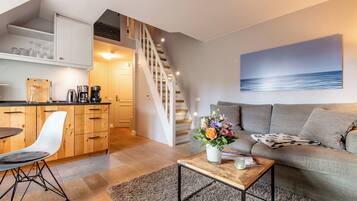 Televisio, DVD-soitin