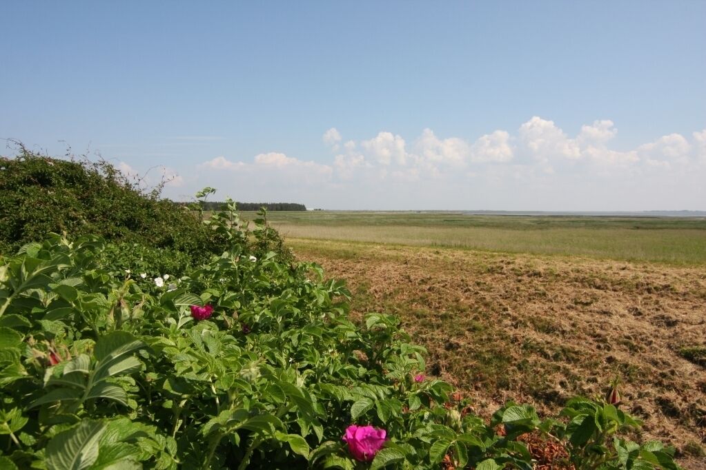 منوع