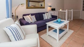 Televisio, DVD-soitin