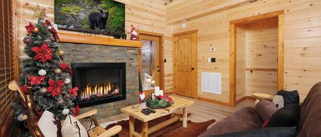 TV, peis, videospill og DVD-spiller