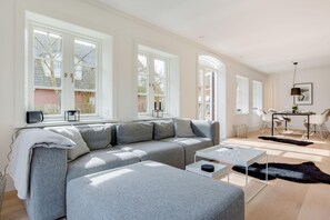 TV, fireplace, DVD player
