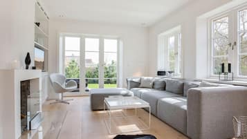 TV, fireplace, DVD player