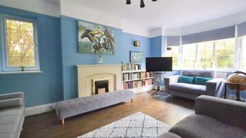 TV, fireplace, offices