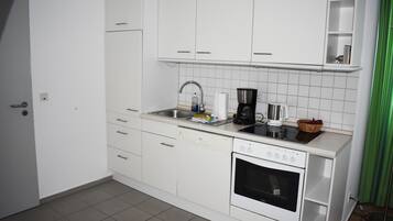 Fridge, oven, stovetop, dishwasher