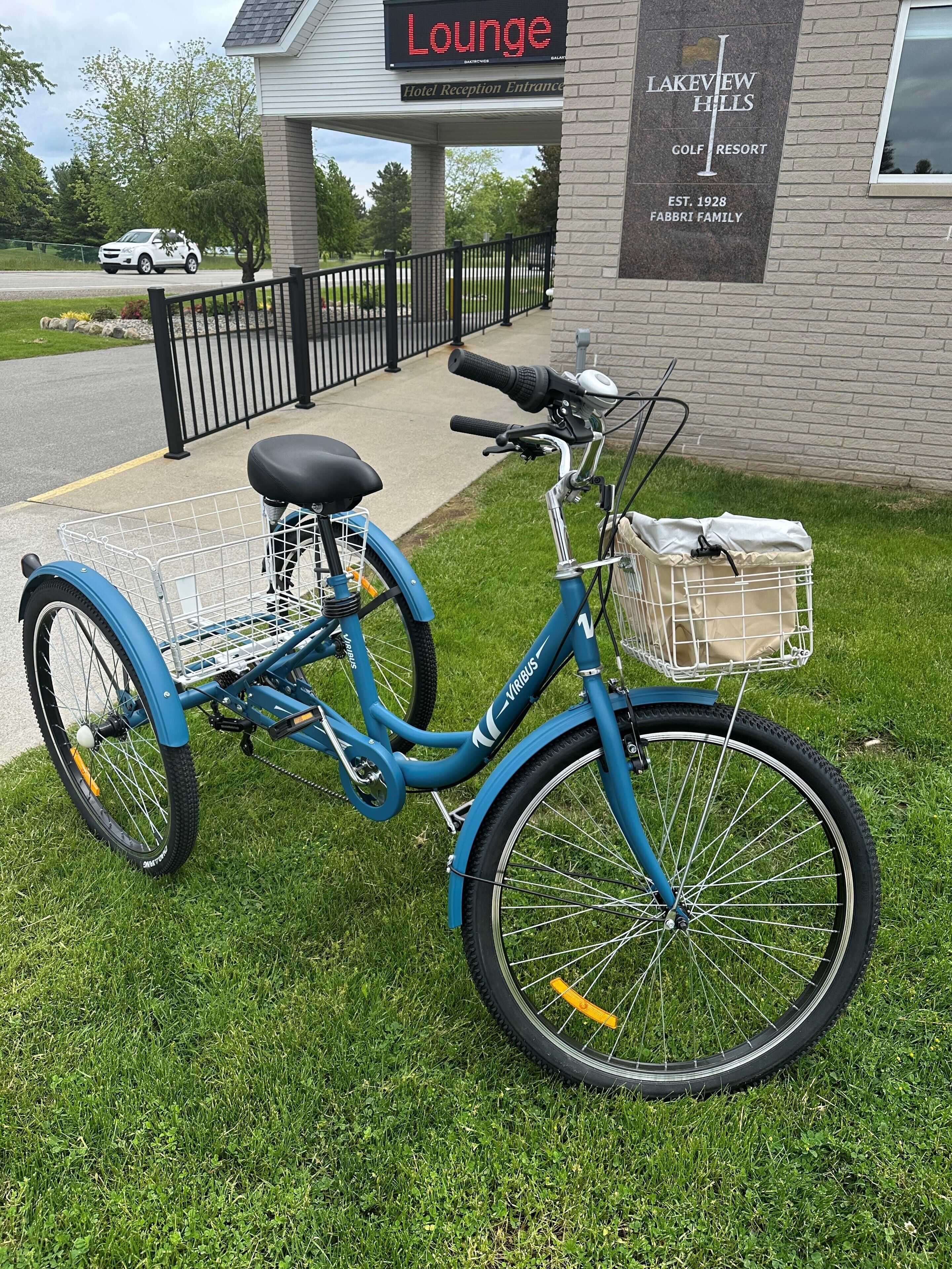 A blue bicycle with a basket and a seat, parked on grass in front of a building with a sign that reads "Lounge".