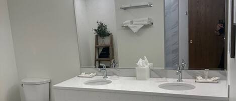 A modern bathroom with a double sink, a large mirror, and a toilet.