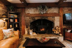 Télévision, cheminée, lecteur de DVD, espaces bureaux