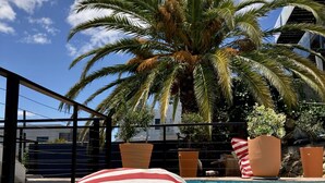 A swimming pool with a red and white striped towel, palm trees, and a modern building in the background. - theGREEN Villa, your solar powered home away from home (Cape Town)