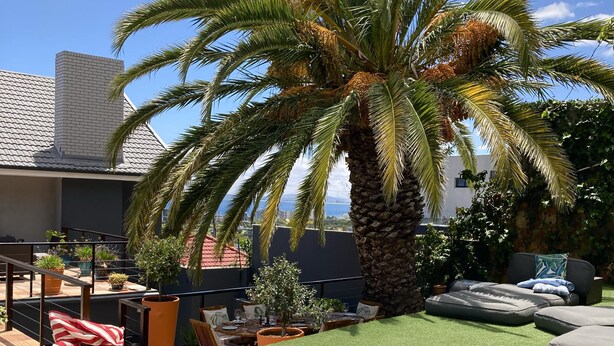 A rooftop terrace with a palm tree, outdoor seating, and a view of the city. - theGREEN Villa, your solar powered home away from home (Cape Town)
