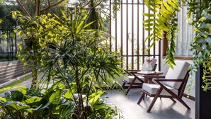 Eine sonnendurchflutete Terrasse mit üppiger Bepflanzung, eine Sitzgruppe mit Tisch und Stühlen und Blick auf die Straße durch eine Hecke.