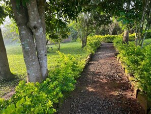 Standard Double Room Single Use | Living area - Nguse River Camp  (Pachwa)