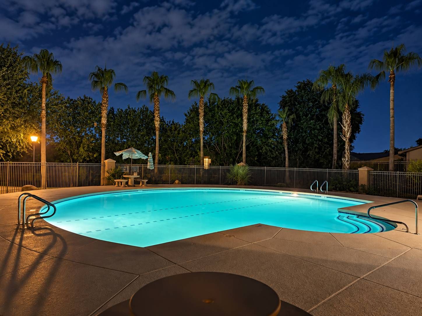 A swimming pool with a curved edge, surrounded by a fence, palm trees, and a gazebo.