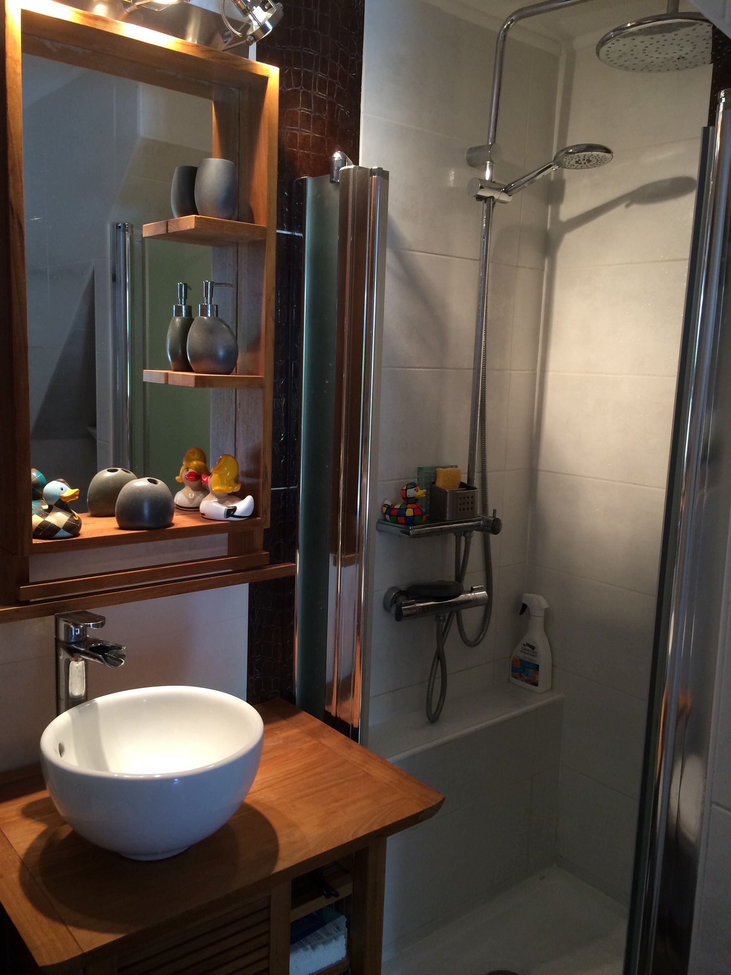 Shower, hair dryer